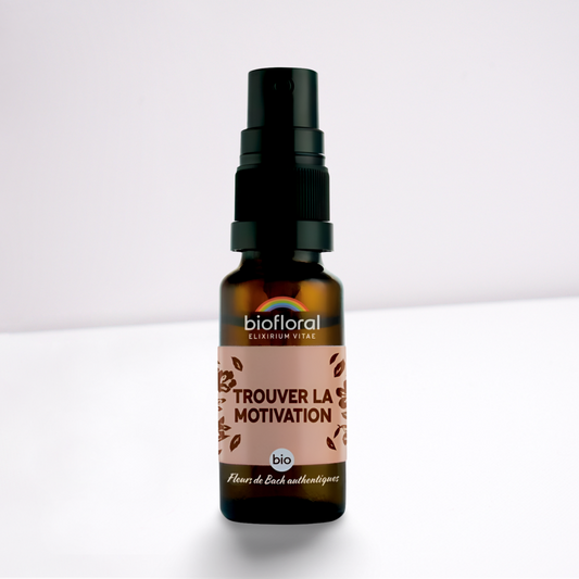 Spray Trouver la Motivation