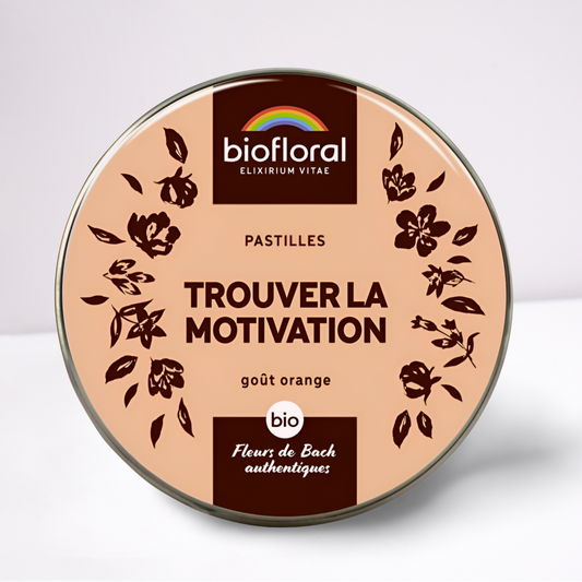 Pastille Trouver la Motivation