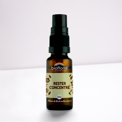 Spray Rester Concentré